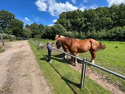 Charline mit Pferd